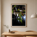 Eucalypt Energy