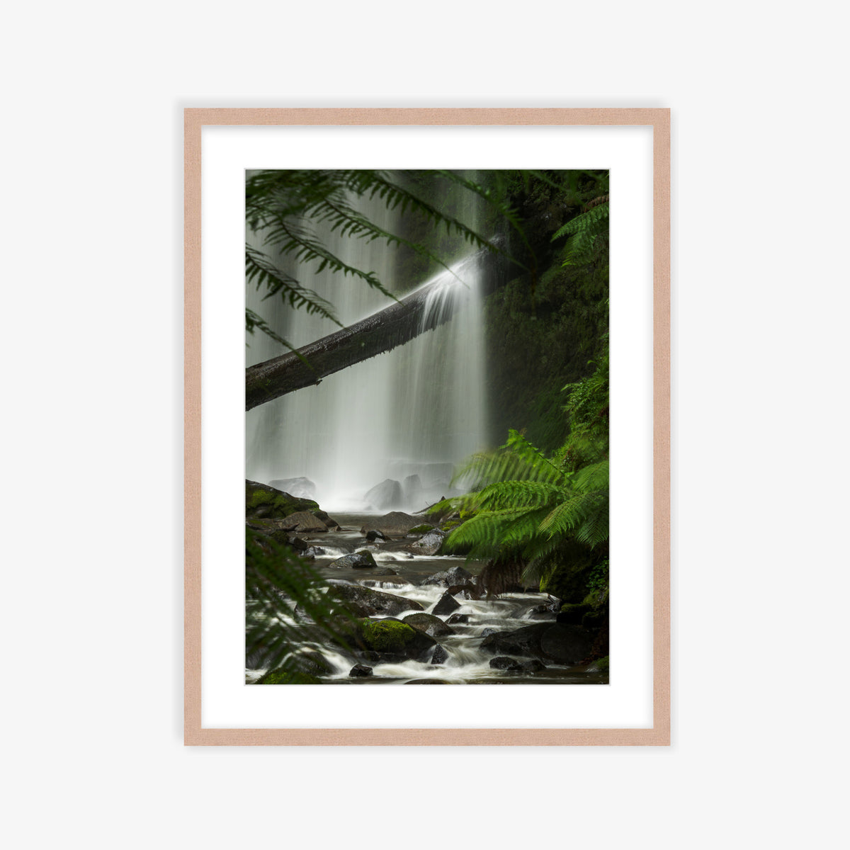 Ferns & Falls