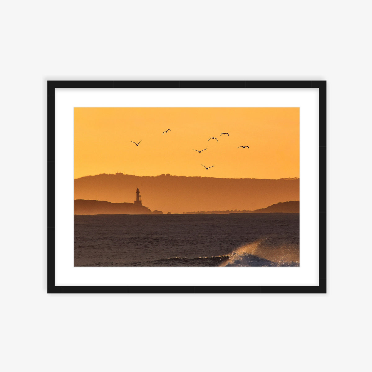 Morning Flock