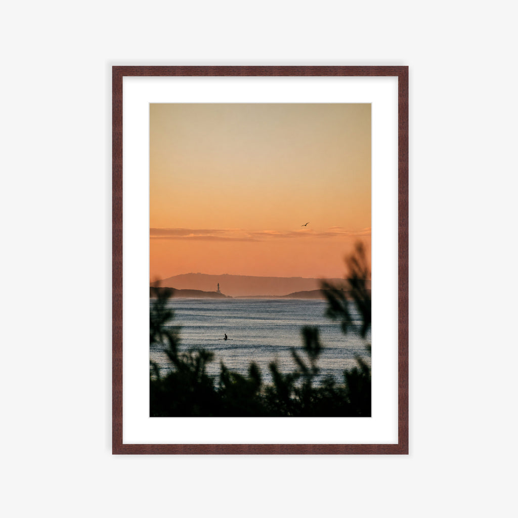Point Lonsdale Pink