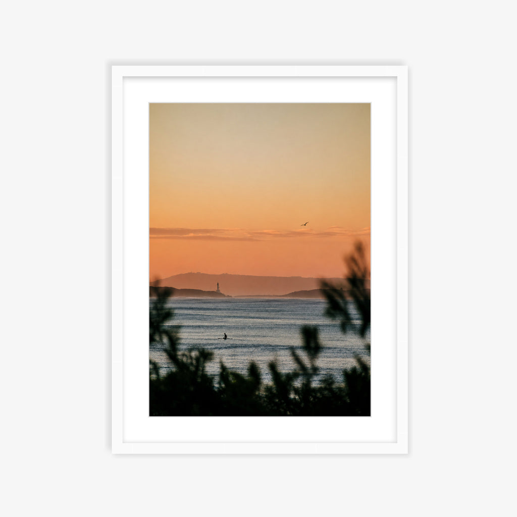 Point Lonsdale Pink