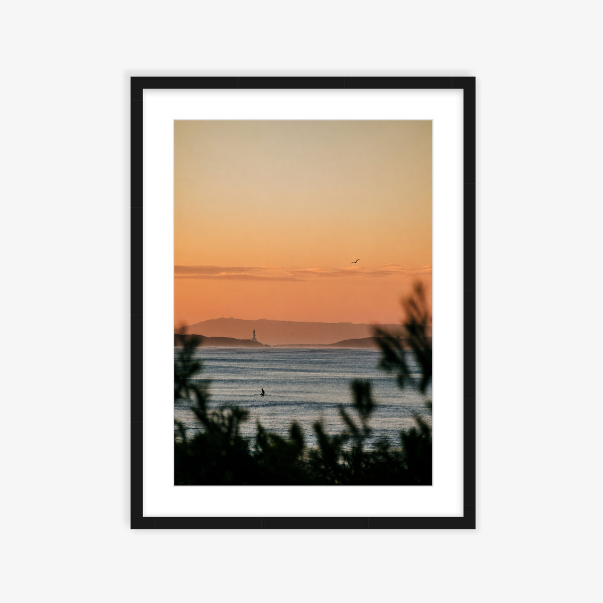 Point Lonsdale Pink