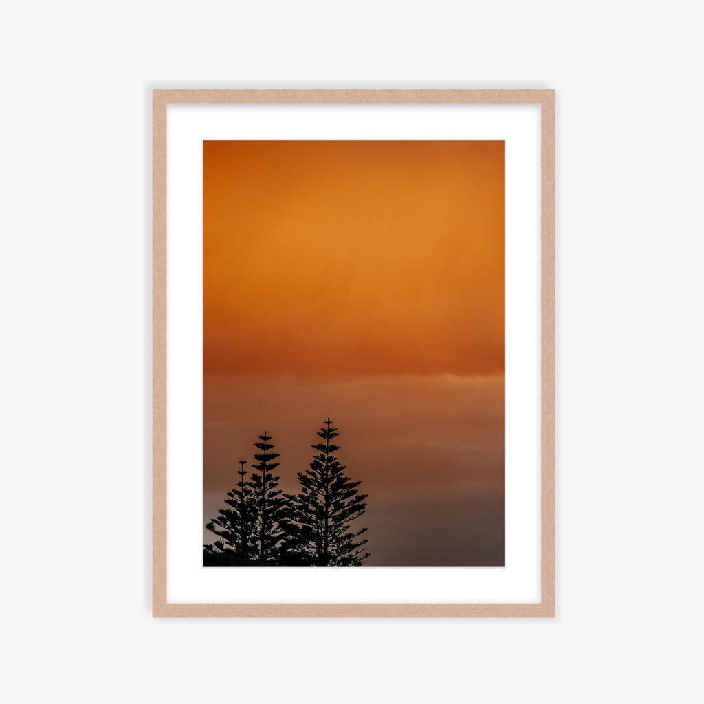 Watercolour Pines